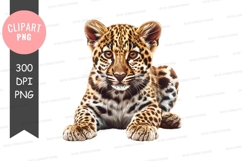 Cute leopard cub clipart png Product Image 1