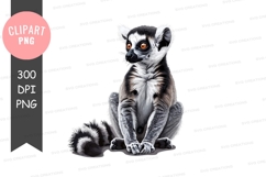 Ring-tailed lemur clipart png Product Image 1