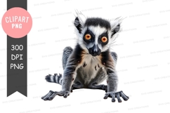Curious lemur clipart png Product Image 1