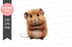 Cute hamster clipart png Product Image 1