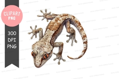 Gecko lizard clipart png Product Image 1