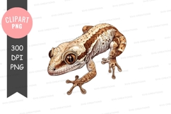 Brown and white gecko clipart png Product Image 1