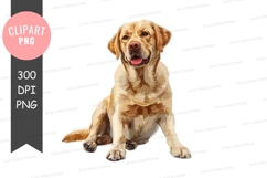 Happy labrador retriever clipart png Product Image 1