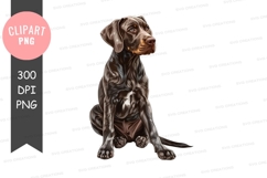 Portrait of a sitting dog Product Image 1