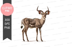Kudu clipart png Product Image 1