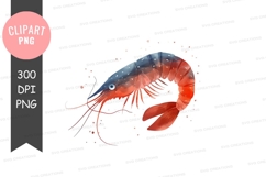 Vibrant shrimp clipart png Product Image 1