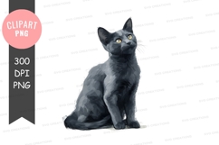 Graceful gray cat Product Image 1