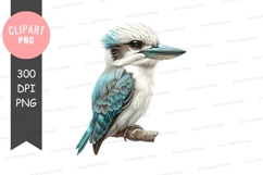 Blue-winged kookaburra clipart png Product Image 1