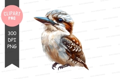 Kookaburra clipart png Product Image 1
