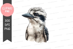 Kookaburra clipart png Product Image 1