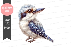 Kookaburra clipart png Product Image 1