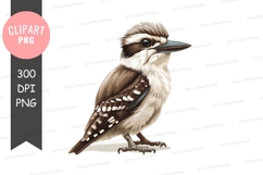 Kookaburra clipart png Product Image 1