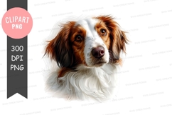 Portrait of a cocker spaniel Product Image 1