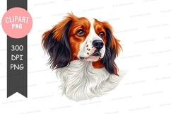 Portrait of a cavalier king charles spaniel Product Image 1