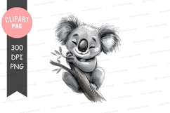Happy koala on a branch clipart png Product Image 1