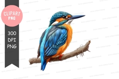 Vibrant kingfisher on a branch Product Image 1