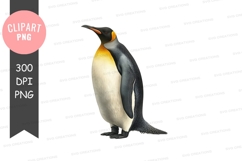 King penguin clipart png Product Image 1