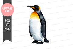 King penguin clipart png Product Image 1