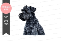 Black curly dog clipart png Product Image 1