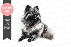 Graceful pomeranian dog clipart png Product Image 1