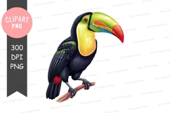 Colorful toucan clipart png Product Image 1