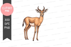 Brown falcon clipart png Product Image 1