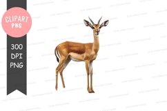 Standing gazelle clipart png Product Image 1