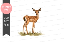 Mystical owl clipart png Product Image 1