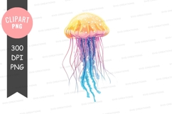 Colorful jellyfish clipart png Product Image 1