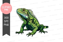 Green iguana clipart png Product Image 1