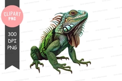 Majestic harpy eagle clipart png Product Image 1