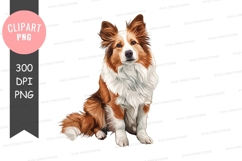 Portrait of a shetland sheepdog Product Image 1