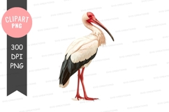 White stork clipart png Product Image 1