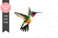 Colorful hummingbird in flight Product Image 1