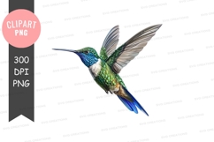 Flying hummingbird clipart png Product Image 1