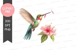 Seal clipart png Product Image 1