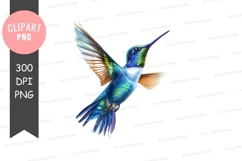 Cute seal clipart png Product Image 1