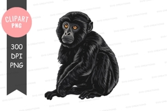 Cute sugar glider clipart png Product Image 1