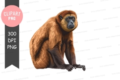 Brown capuchin monkey clipart png Product Image 1