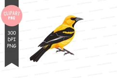 Yellow and black bird clipart png Product Image 1