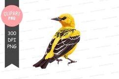Yellow and black bird clipart png Product Image 1