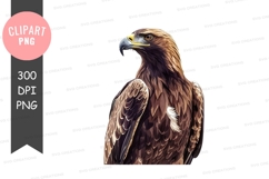 Majestic eagle clipart png Product Image 1
