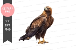 Majestic eagle clipart png Product Image 1