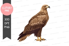 Majestic brown eagle clipart png Product Image 1