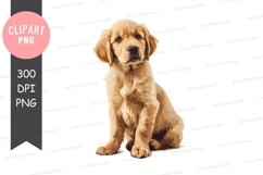 Golden retriever puppy clipart png Product Image 1
