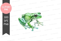 Green frog clipart png Product Image 1