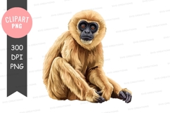 Gorilla clipart png Product Image 1