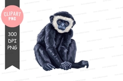 Thinking gibbon clipart png Product Image 1