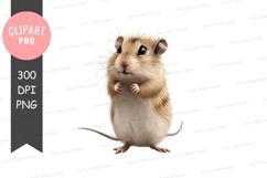 Cute gerbil clipart png Product Image 1