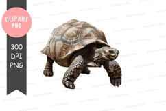 Giant tortoise clipart png Product Image 1